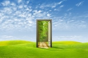 The Adaptable Extravert has an optimistic outlook on life. The Adaptable Extravert has an optimistic outlook on life.