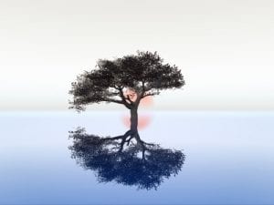 The sympathetic and friendly types seek serenity in their lives. The sympathetic and friendly types seek serenity in their lives.