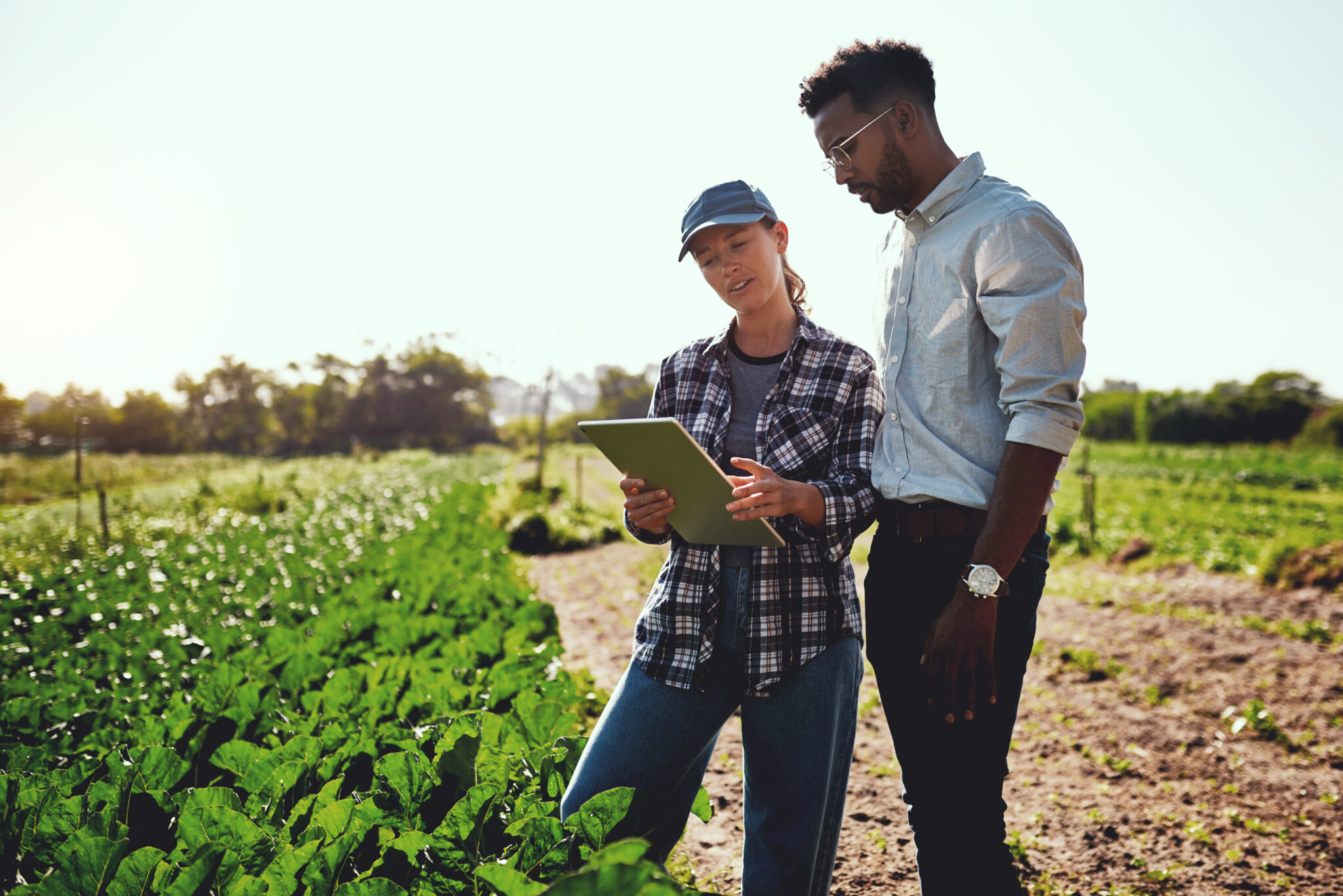 Strong Interest Inventory Career Farm Labor Job Pay & Salary